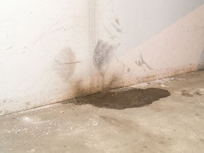 Professional Water Damage Cleanup Services in New Braunfels